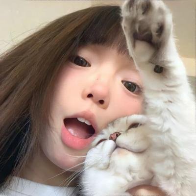 狐及其友